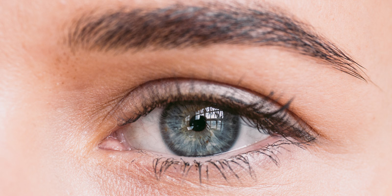 Eyebrow and eyelash tinting